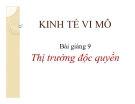 Bài giảng Kinh tế vi mô: Bài 9 - Thị trường độc quyền