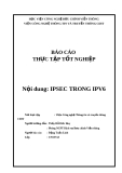 Báo cáo thực tập tốt nghiệp: IPSEC trong IPV6