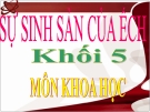 Bài 57: Sự sinh sản của ếch - Bài giảng điện tử Khoa học 5 - T.B.Minh