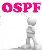 Khóa luận tốt nghiệp: Triển khai định tuyến open shortest path first (OSPF) đa vùng cho công ty CP MCC