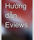 Hướng dẫn sử dụng Eviews 4.0