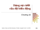 Bài giảng Tài chính phái sinh: Chương 16 - Dạng nụ cười của độ biến động