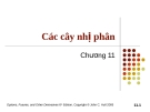 Bài giảng Tài chính phái sinh: Chương 11 - Cây nhị phân