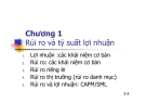 Bài giảng Tài chính doanh nghiệp: Chương 1 - Rủi ro và tỷ suất lợi nhuận