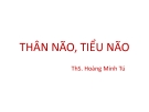 Bài giảng Cơ quan vùng mặt cổ - ThS. Hoàng Minh Tú