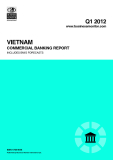 Vietnam commercial Banking report Q1 2012