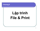 Bài giảng Lập trình Windows: Chương 6 - Lập trình File và Print
