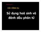 Bài giảng Bảo tồn đa dạng sinh học: Chương 5.1 - TS. Viên Ngọc Nam