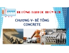 Bài giảng Vật liệu xây dựng: Chương V