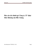 Bài tập lớn: Báo cáo tài chính tại Công ty CP  khai thác khoáng sản Bắc Giang