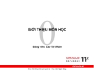 Bài giảng Quản trị cơ sở dữ liệu Oracle - GV. Cao Thị Nhâm (HV Ngân hàng)