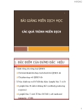 Bài giảng Miễn dịch học: Chương 5 - ThS. Nguyễn Thành Luân