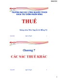 Bài giảng Thuế: Chương 7 - ThS. Nguyễn Lê Hồng Vỹ