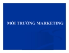 Bài giảng Môi trường marketing