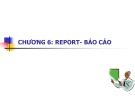 Bài giảng Hệ quản trị cơ sở dữ liệu Access chương 6: Report - Báo cáo