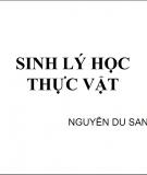 Giáo trình Sinh lý học thực vật: Phần 2 - Nguyễn Du Sanh