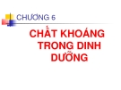 Bài giảng Dinh dưỡng: Chương 6 - GV. Võ Thị Thu Thủy