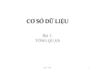 Bài giảng Cơ sở dữ liệu - Bài 1: Tổng quan