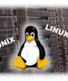 Báo cáo: Lập trình shell trên Linux