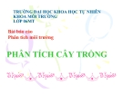 Bài báo cáo - thuyết trình phân tích môi trường: Phân tích cây trồng