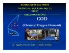 Báo cáo: COD (Chemical Oxygen Demand)