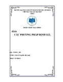 Tiểu luận: Các phương pháp định giá
