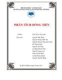 Tiểu luận tài chính: Phân tích dòng tiền