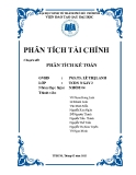 Tiểu luận: Phân tích kế toán