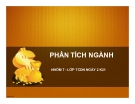 Thuyết trình: Phân tích ngành