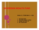 Thuyết trình: Sovereign wealth fund