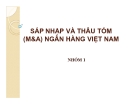 Thuyết trình: Sáp nhập và thâu tóm (M&A) ngân hàng Việt Nam