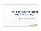 Thuyết trình: Thị trường tài chính “quỹ phòng hộ”