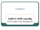 Bài giảng Hệ thống thông tin quản lý: Chương 6 - ThS. Thái Kim Phụng