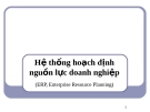 Bài giảng Hệ thống thông tin - Hoạch định nguồn nhân lực doanh nghiệp