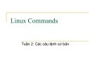 Bài giảng Linux Commands: Các câu lệnh cơ bản