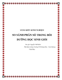 SKKN: So sánh phân số trong bồi dưỡng học sinh giỏi