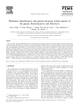 Molecular identification and genetic diversity within species of the genera Hanseniaspora and Kloeckera