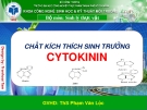 Báo cáo tiểu luận: Chất kích thích sinh trưởng Cytokynin