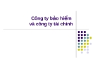 Bài giảng Thị trường tài chính - Bài 12: Công ty bảo hiểm và công ty tài chính