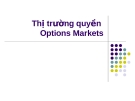 Bài giảng Thị trường tài chính - Bài 10: Thị trường quyền Options Markets