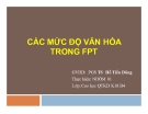 Tiểu luận: Các mức độ văn hóa trong FPT