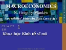 Bài giảng Kinh tế vĩ mô: Chương 1 - N. Gregory Mankiw