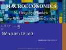 Bài giảng Kinh tế vĩ mô: Chương 5 - N. Gregory Mankiw