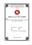 Khóa luận tốt nghiệp: Nhập khẩu vàng của Việt Nam năm 2008 và ảnh hưởng tới vấn đề an ninh tiền tệ