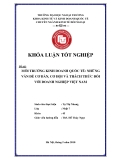 Khóa luận tốt nghiệp: Môi trường kinh doanh quốc tế: Những vấn đề cơ bản , cơ hội và thách thức đối với doanh nghiệp Việt Nam