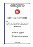 Khóa luận tốt nghiệp: Mô hình tập đoàn kinh tế Việt Nam - Hiện trạng và xu hướng phát triển trong thời gian tới