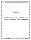 Tiểu luận: Giải pháp nâng cao hiệu quả Quản lý rủi ro tín dụng tại Ngân hàng TMCP Phương Đông