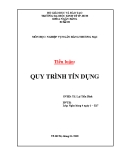 Tiểu luận: Quy trình tín dụng