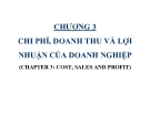 Bài giảng Tài chính doanh nghiệp - Chương 3 (cost, sales and profit)