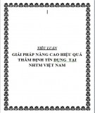 Tiểu luận: Giải pháp nâng cao hiệu quả thẩm định tín dụng tại Ngân hàng thương mại Việt Nam